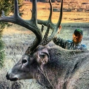 Meet your Posher, Lance